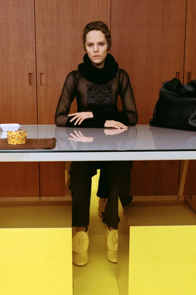 Look 29